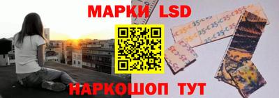 сатива Будённовск