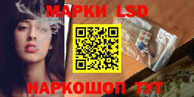 сатива Будённовск