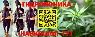 прущие грибы Бердск