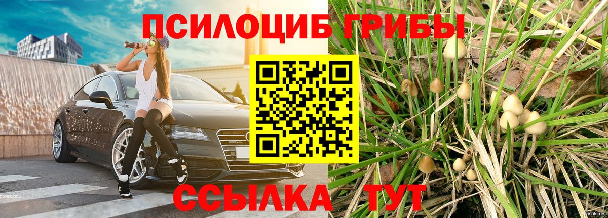 Лыткарино  Псилоцибиновые грибы Psilocybe  Вход с VPN  Галлюциногенные грибы ЛСД 